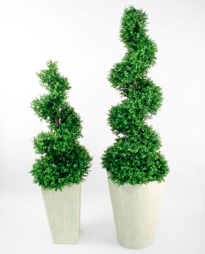 12-130 Boxwood Spiral 130cm, 12-165 Boxwood Spiral 165cm